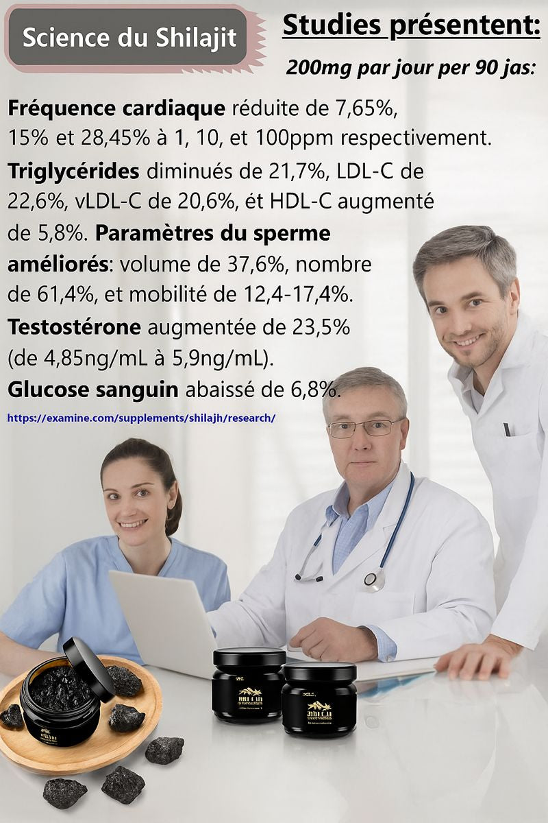 Shilajit 100% naturel